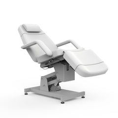 Silver Fox Professional Electric Facial Chair (2219B)
