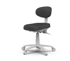 Silver Fox Rolling Stool (8C01)