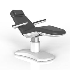 Silver Fox 4 Motor Facial Chair in Dark Grey (2270FB)