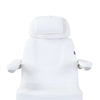 Image of Silver Fox Deluxe Electric Facial Chair / Professional Medi Spa Chair Package (2246EBN)