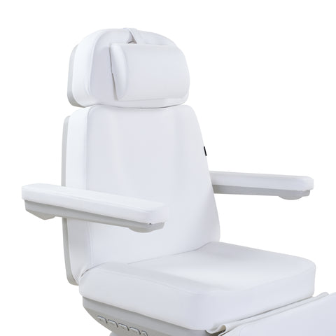 Silver Fox Deluxe Electric Facial Chair / Professional Medi Spa Chair Package (2246EBN)