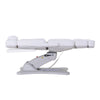 Image of Silver Fox Professional Electric Medi Spa / Facial Chair (2246BN)