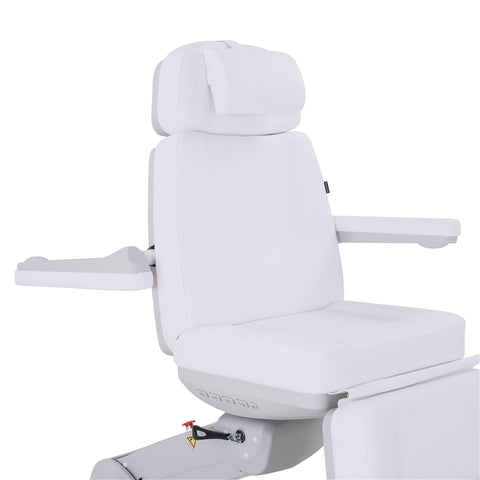 Silver Fox Professional Electric Medi Spa / Facial Chair (2246BN)