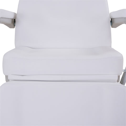 Silver Fox Professional Electric Medi Spa / Facial Chair (2246BN)
