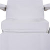 Image of Silver Fox Professional Electric Medi Spa / Facial Chair (2246BN)