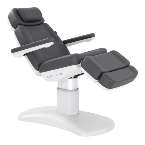 Silver Fox Professional Facial Chair / Massage Table (2222BN)