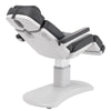 Image of Silver Fox Professional Facial Chair / Massage Table (2222BN)