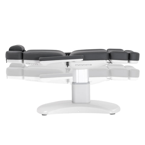 Silver Fox Professional Facial Chair / Massage Table (2222BN)