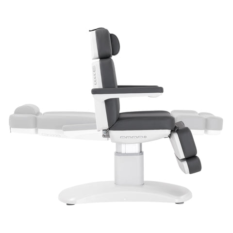 Silver Fox Professional Facial Chair / Massage Table (2222BN)