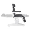 Image of Silver Fox Professional Facial Chair / Massage Table (2222BN)