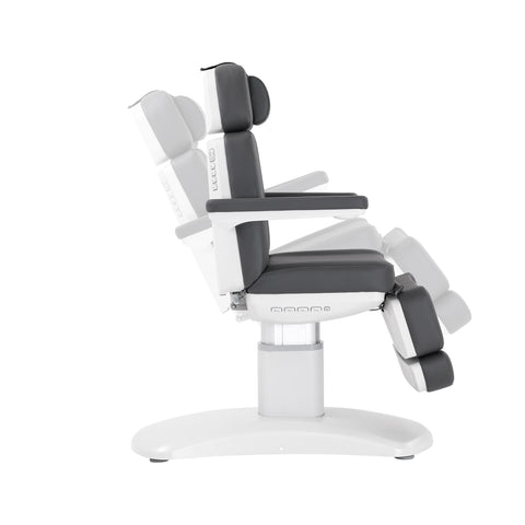 Silver Fox Professional Facial Chair / Massage Table (2222BN)