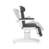Image of Silver Fox Professional Facial Chair / Massage Table (2222BN)