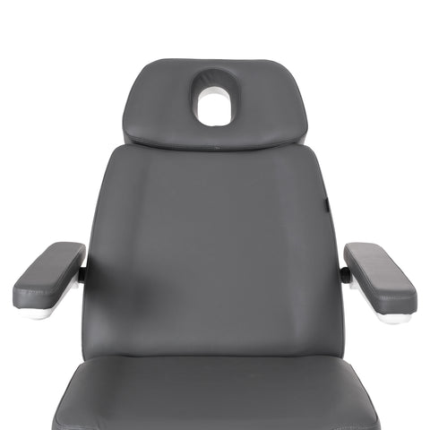 Silver Fox Professional Facial Chair / Massage Table (2222BN)