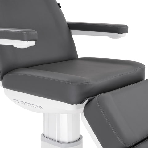 Silver Fox Professional Facial Chair / Massage Table (2222BN)