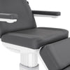 Image of Silver Fox Professional Facial Chair / Massage Table (2222BN)