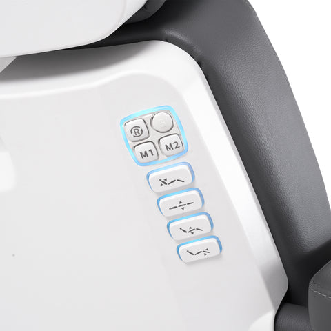 Silver Fox Professional Facial Chair / Massage Table (2222BN)