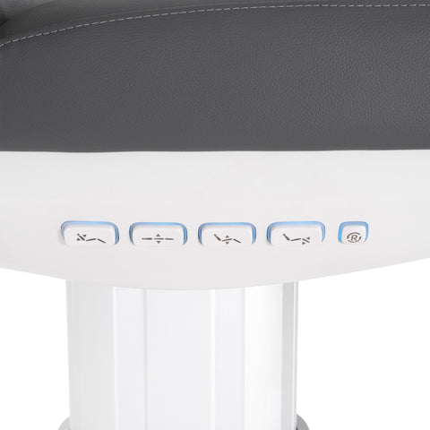 Silver Fox Professional Facial Chair / Massage Table (2222BN)