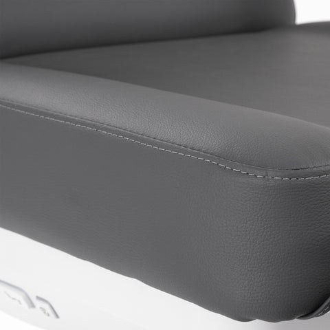 Silver Fox Professional Facial Chair / Massage Table (2222BN)