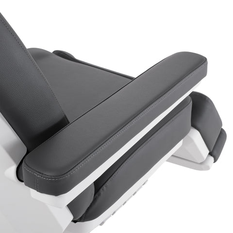 Silver Fox Professional Facial Chair / Massage Table (2222BN)