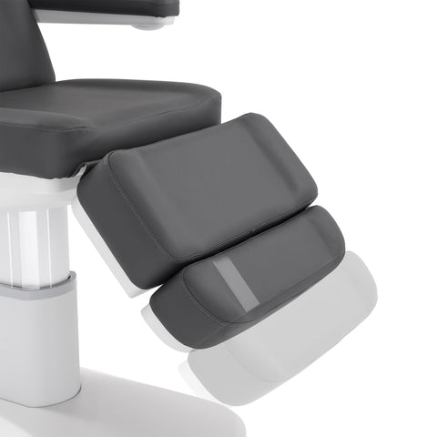Silver Fox Professional Facial Chair / Massage Table (2222BN)