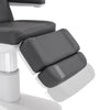Image of Silver Fox Professional Facial Chair / Massage Table (2222BN)