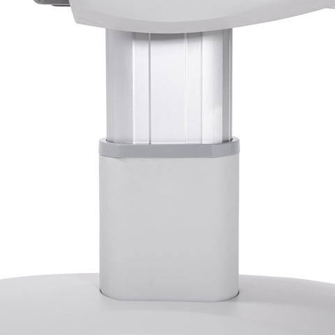Silver Fox Professional Facial Chair / Massage Table (2222BN)