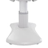 Image of Silver Fox Professional Facial Chair / Massage Table (2222BN)