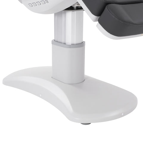 Silver Fox Professional Facial Chair / Massage Table (2222BN)
