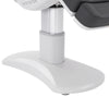 Image of Silver Fox Professional Facial Chair / Massage Table (2222BN)