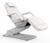 Image of Silver Fox 3 Section Electric Facial Bed / PMU Chair Package (2221D)