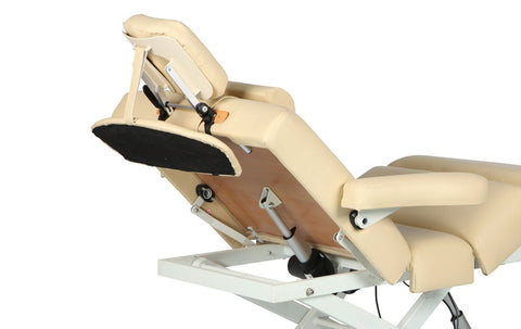 UltraFlex Deluxe PowerLift Electric Massage Table (10151886)