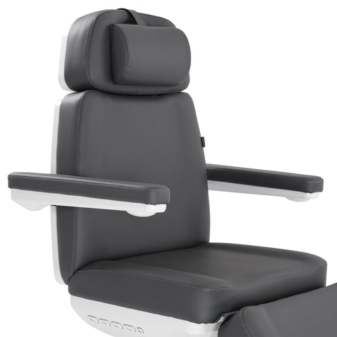 Silver Fox Professional Facial Chair / Massage Table (2222BN)