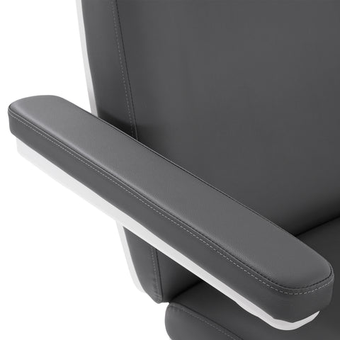 Silver Fox Professional Facial Chair / Massage Table (2222BN)