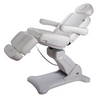 Image of Silver Fox Professional Electric Medi Spa / Facial Chair (2246B)