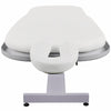 Image of Touch America Neptune SofTop Motorized Stationary Wet Table for Aqua Massages (with Battery Operated Lift Table) - 21311