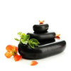 Image of Master Massage  Hot Stone Set for Feet and Toes (Basalt Rock - 8 Pcs) (31149)