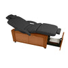 Image of Touch America Viola Electric Massage Table (11650)