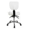 Image of Silver Fox Contoured Rolling Stool with back support (SKU: 1030)