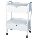 Trolley Table with 2 Lockable Drawers by Silver Fox (SKU: EF1019)