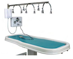 Image of Touch America Stationary Neptune Wet Table and 8-Head Vichy Shower Deluxe Package(82030)