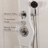 Image of Water Werks VaVoom Vichy Shower 8 Head Spritzer